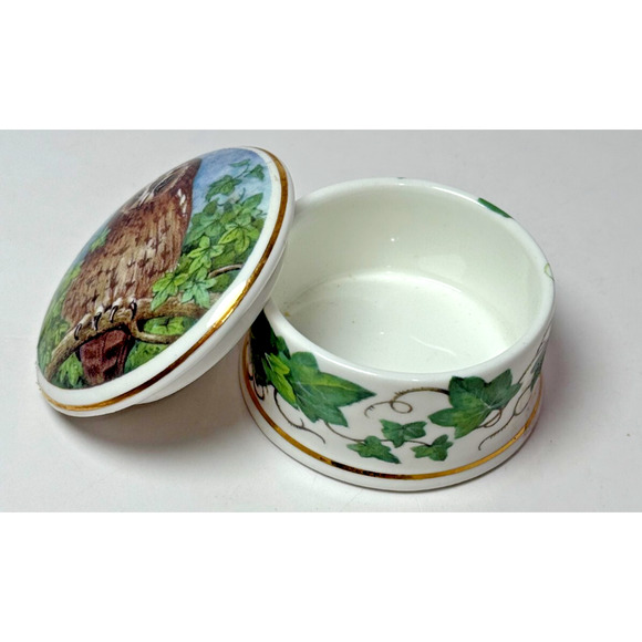 Fine Bone China Owl & Ivy Trinket Pill Box Objets D'Art Made in England Bird - Picture 3 of 5